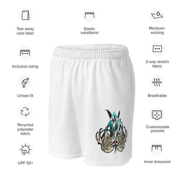 Abundance | unisex mesh shorts