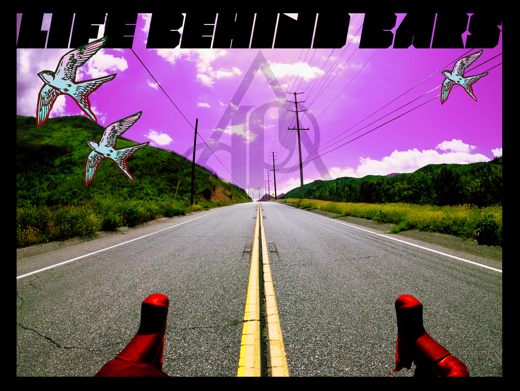 Life Behind Bars | unisex cotton t-shirt